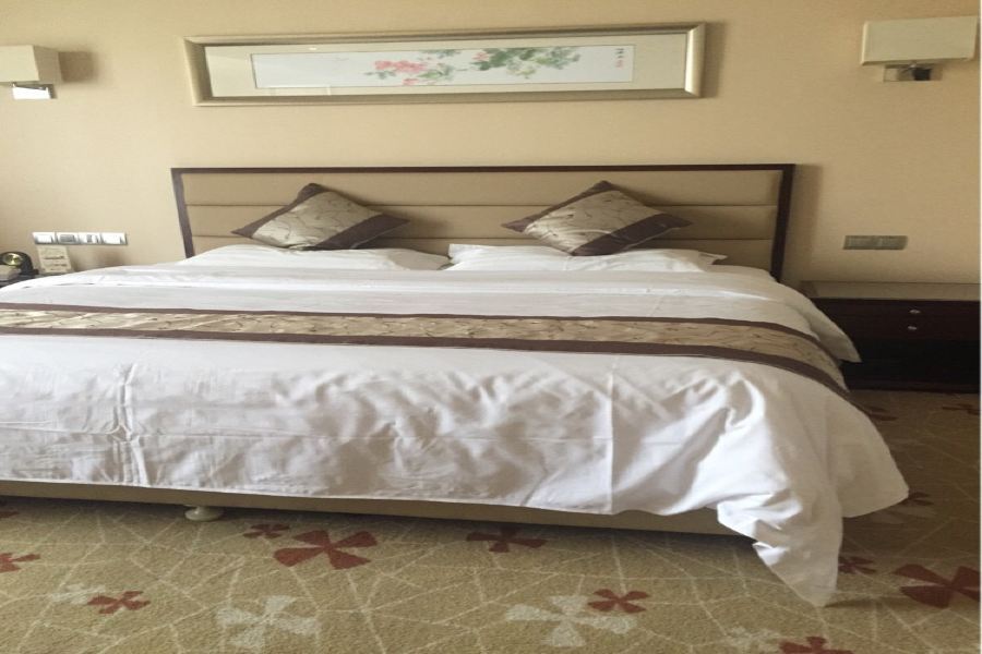 Arcadia International Hotel Cangzhou Exterior photo